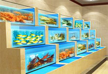 訂做酒店海鮮池魚(yú)缸